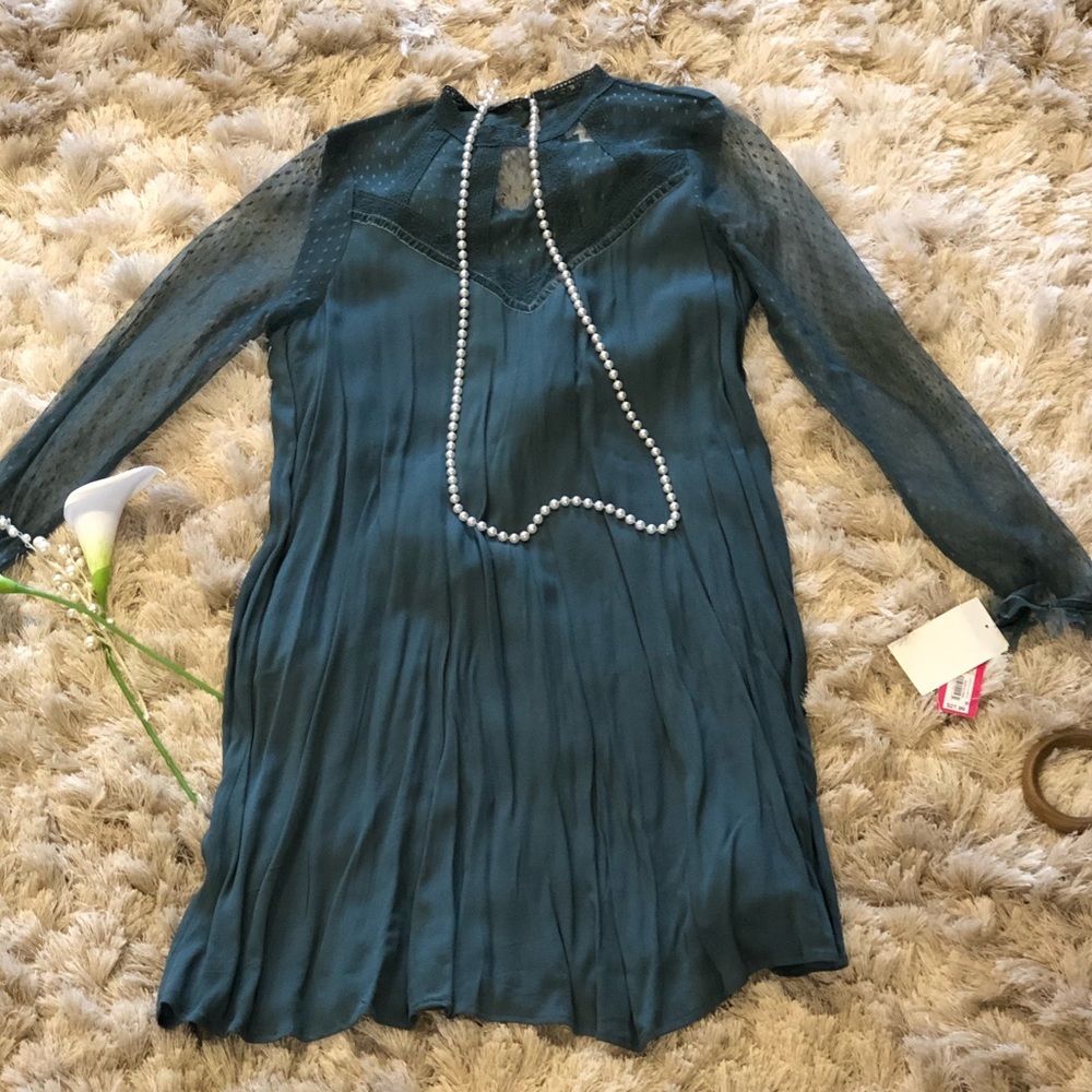 Mesh Long Sleeve Dress 🌾